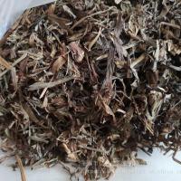小青-功效与作用