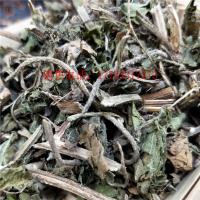 律草-功效与作用