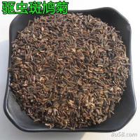 斑鸠-功效与作用