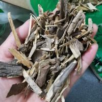 乌鸦-功效与作用