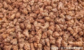 乱发-功效与作用