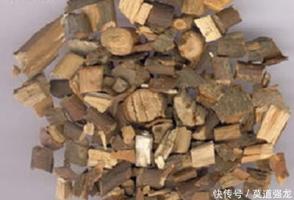 樟-功效与作用