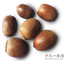 橡实-功效与作用