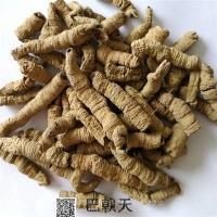 兔-功效与作用