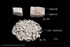 石膏-功效与作用