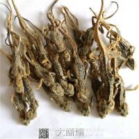 石龙子-功效与作用