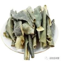 冬瓜-功效与作用