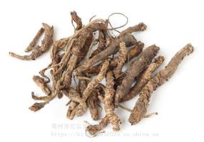 胡黄连-功效与作用