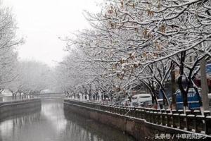 腊雪-功效与作用