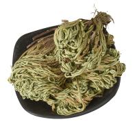 卷柏-功效与作用