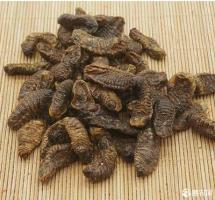 蛴螬-功效与作用