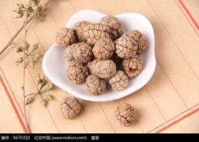 豆蔻-功效与作用