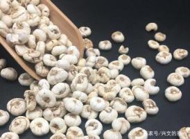 贝母-功效与作用