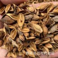 连翘-功效与作用