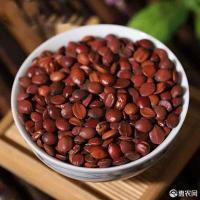 酸枣-功效与作用