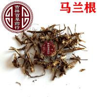 马兰-功效与作用
