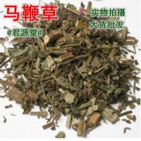 马鞭草-功效与作用
