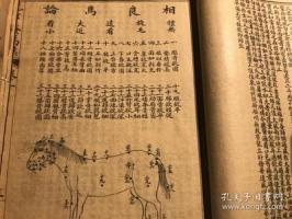 驼-功效与作用