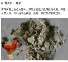 鸡-功效与作用