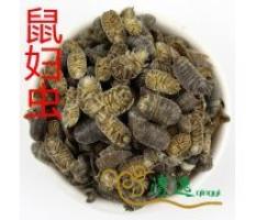 鼠妇-功效与作用