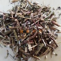 鼠尾草-功效与作用