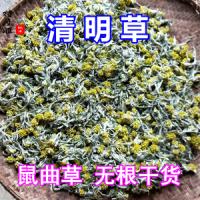 鼠曲草-功效与作用